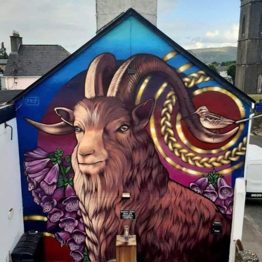 'Kealan' Luxury Double Room Foxford Exterior foto